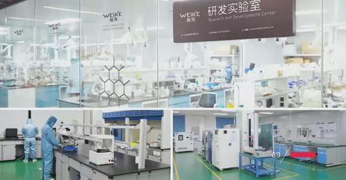 品質創新研發，鑄就輝煌——東莞膜材涂布廠的能源技術新篇章